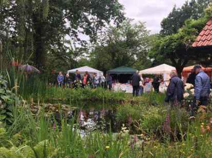 Die erste Landpartie in Westerstede war ein Erfolg.