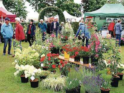Blumenpracht zum Kaufen. Neben Dekorationen konnten  Stauden erstanden werden.