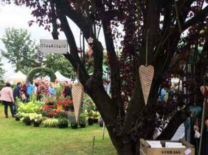 Die Vielzahl von Dekorationen war beeindruckend.