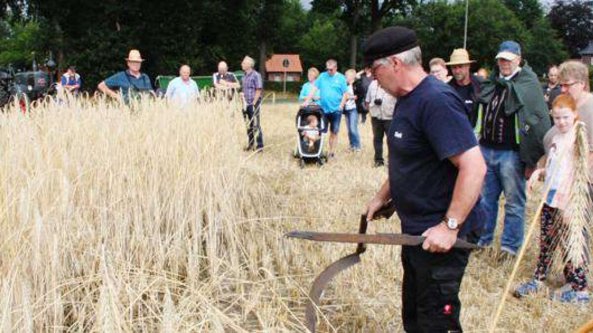 schneide von sense oder sichel
