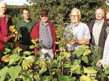 <p>Landwirte und Ratsmitglieder auf Bl&uuml;hstreifen-Tour: Peter Zwiener (v.l.), Karin Rohde, Bernhard Wolff, Renke D&auml;hlmann, Dieter Holsten, Jan Juister, Ingo Wachtendorf, Andreas Otte und D&ouml;rte Zwiener  auf eine Fl&auml;che in Lintel, wo zurzeit die ausges&auml;ten Sonnenblumen dominieren. Durch Trockenheit konnte sich auch der &bdquo;Wei&szlig;e G&auml;nsefu&szlig;&ldquo;, ein Wildkraut mit wenig Nutzen f&uuml;r Insekten, von selbst stark ausbreiten. </p>