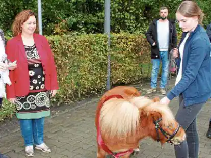 Im Mittelpunkt des Geschehens: das Pony Luna, das jetzt Hospizbotschafterin ist