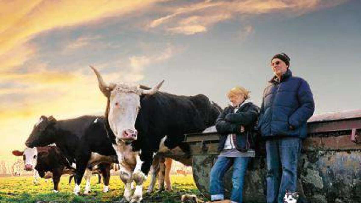 Hof Butenland kommt ins Kino