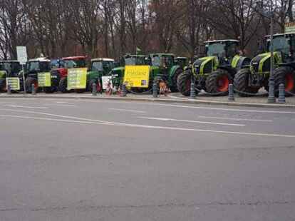 Friesland auf der Demo