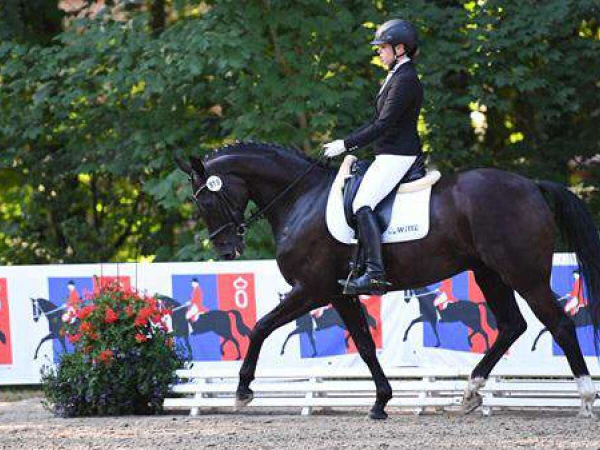 Oldenburger Landesturnier 'Es bleibt immer etwas ganz Besonderes'