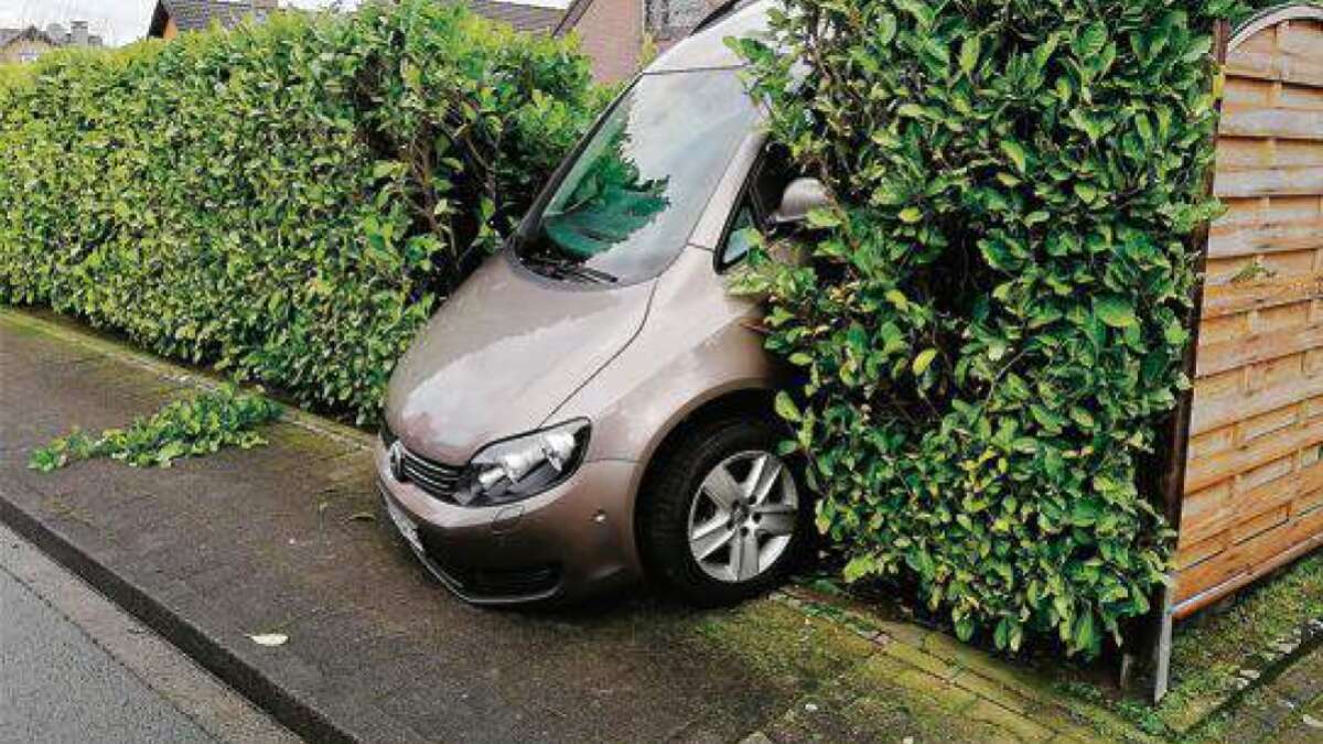 R ckw rts Durch Die Hecke r-ckw-rts-durch-die-hecke