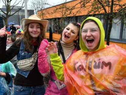 Die Narren beim Fasching um den Ring trotzten dem Wetter.