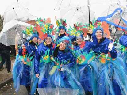Die Narren beim Fasching um den Ring trotzten dem Wetter.