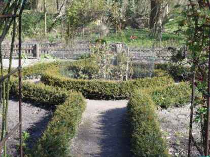 Der typische Bauerngarten mit Kreuzgang und Heckeneinfassung (fr&uuml;her Buchsbaum, heute Eibe) ist typisch f&uuml;r Klosterg&auml;rten. Ob es bei der Klosterkirche Schortens jemals einen Klostergarten gab, ist nicht &uuml;berliefert.