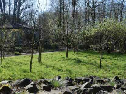 Die Streuobstwiese ist mit ganz unterschiedlichen Obstb&auml;umen best&uuml;ckt - vom Apfel &uuml;ber die Quitte bis zur Pflaume.