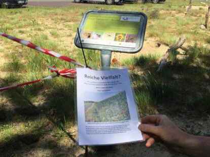 Neben der Bl&uuml;hwiese der Landwirte befindet sich eine vom Nabu angelegte Sandfl&auml;che.