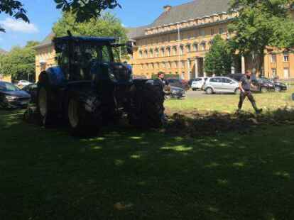 Bl&uuml;hwiese statt Rasen: Einige Landwirte aus dem Ammerland haben am Donnerstag ein etwa sechs mal sechs Meter gro&szlig;es Feld umgepfl&uuml;gt und eine Bl&uuml;hwiese angelegt &ndash; neben einer vom Nabu angelegten Sandfl&auml;che.