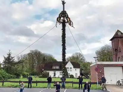 In gewohnter Gr&ouml;&szlig;e haben die Tettenser  ihren Maibaum wieder im Ortszentrum stehen. Die ehemalige Dorfjugend ist dabei aber auf Abstand geblieben.