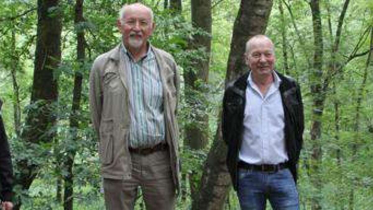 Im Pestruper Moor gibt es noch viel zu puzzeln