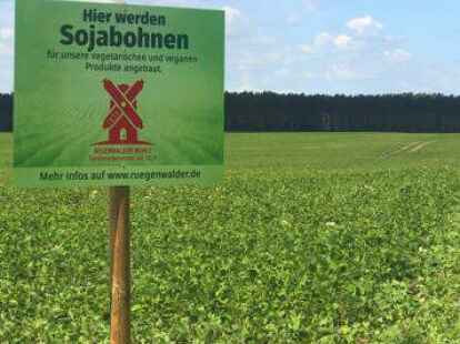 Pflanzliches Protein &bdquo;made in Germany&ldquo;: Die R&uuml;genwalder M&uuml;hle baut in Deutschland Soja an.
