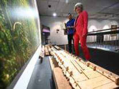 Die Galerie-Ausstellung „Boden als Archiv“ werden unter anderem 2000 Jahre alte Teile eines Bohlenwegs aus dem Aschener Moor bei Lohne gezeigt, wie Ursula Warnke erklärt. (Bild: von Reeken)