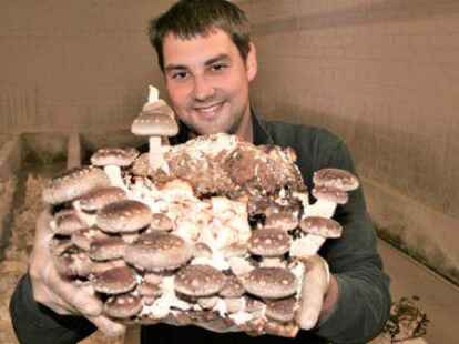 Eckard Janssen z&uuml;chtet seit einigen Monaten Shiitake-Pilze.