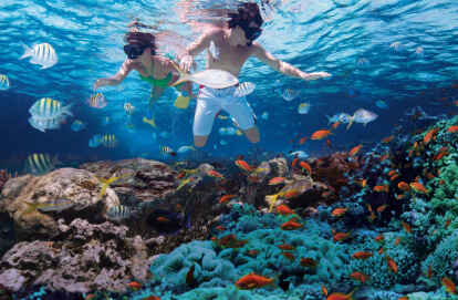 <p>Das Leben spielt unter der Wasseroberfläche: Schnorchler beobachten die Fische und Korallen. Foto: Tourist Board Dominikanische Republik/dpa-tmn</p>