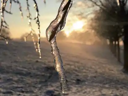 Auf  dem Deich zwischen Tungeln und Hundsm&uuml;hlen hat Nicole Bartz zur Kamera gegriffen.
