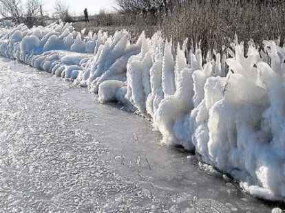 Bizarre und sch&ouml;n anzuschauende Eisgebilde formte der Winter am Schilf-Ufer des Wangermeeres in Hohenkirchen.