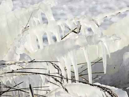 Eisiges Kunstwerk am Wangermeer.