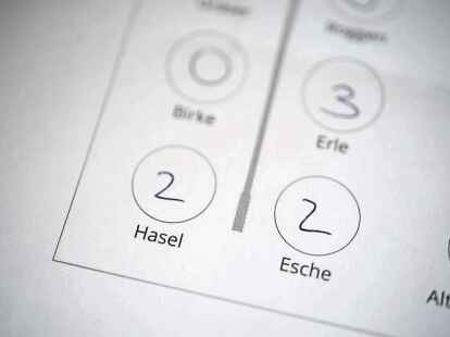 Die Auswertung eines Pricktests