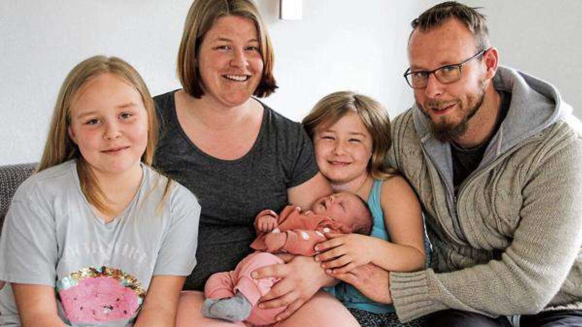 Echte Sanderin 4230 Gramm pures Glück