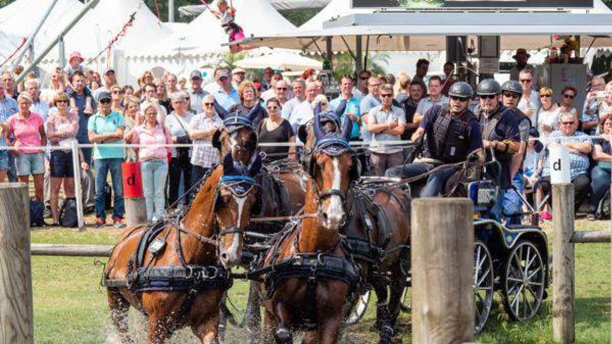 Oldenburger Landesturnier in Rastede in Corona Zeiten So läuft Turnier