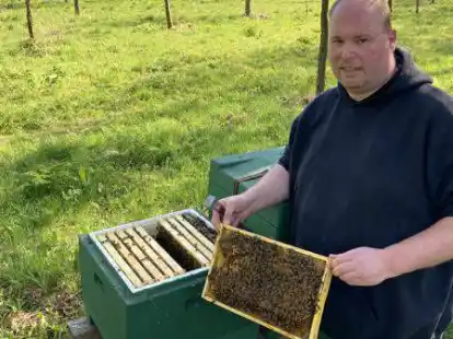 Bienen-Völker in Apen:  Sascha Siemer, 1. Vorsitzender des Kreisimkerverbands Ammerland, weiß, wie die Tiere gepflegt werden müssen.