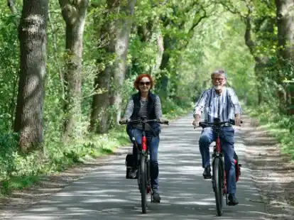 Radeln im Ammerland: Die SPD Westerstede das Radwegenetz zwischen Torsholt, S&uuml;dholt und Mansie verbessern.