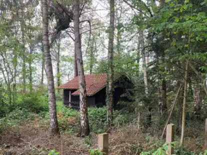 Bild: Jan zur Br&uuml;gge