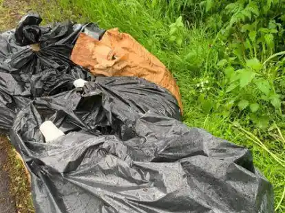 Einfach abgestellt: Am Leher Damm fanden sich unter anderem M&uuml;lls&auml;cke.