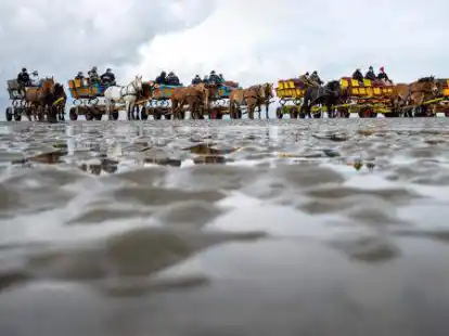 Pferdekutschen fahren durch das Watt. Zwischen der Insel Neuwerk und dem Festland ist im Watt ein sehr gro&szlig;er Priel entstanden. Es besteht die Gefahr, dass die Insel demn&auml;chst vom Festland abgeschnitten und nur noch per Schiff zu erreichen sein wird. Die Bewohner der Nordseeinsel Neuwerk und die Wattwagenfahrer demonstrieren f&uuml;r den Erhalt des Weges &uuml;ber das Watt.