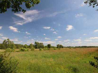 Ein Naturparadies: das Hankhauser Moor in der Gemeinde Rastede