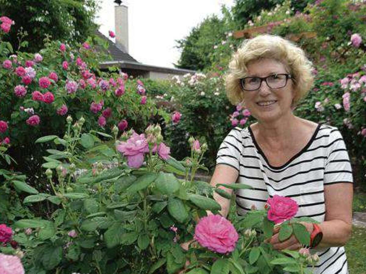 Drei Gärten öffnen zum Auftakt
