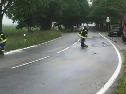 Die Bardenflether Feuerwehrleute legten eine Barriere aus &Ouml;lbindemittel, damit die ausgelaufenen Schadstoffe nicht ins Erdreich gelangten.