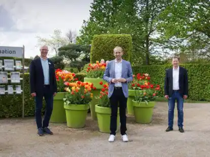 Besprachen das Klimaschutzprojekt im Park (von links): Landschaftsarchitekt Hans-Joachim Adam,  Christian Wandscher, Dennis Rohde, Henning Dierks und Bürgermeister Arno Schilling.