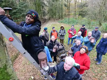 Mehr als 150 Nistk&auml;sten wurden im Eversten Holz von NABU und den Freunden des Eversten Holzes aufgeh&auml;ngt. Buso Memela (Nabu) steht auf der Leiter, den Nistkasten reicht ihr Bernhard Hoffmann an, er ist bei den Freunden des Eversten Holzes der Beauftragte f&uuml;r die Nistk&auml;sten. Neben der Dame in rot steht R&uuml;diger Wohlers, Nabu-Gesch&auml;ftsf&uuml;hrer, hinter ihm Rolf Gr&ouml;sch, Nabu-Vorsitzender.