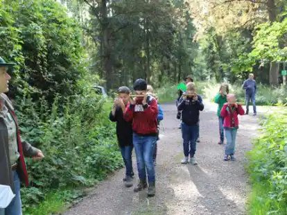 Im vergangenen Sommer war Waldp&auml;dagogin Imke Reiners bei einer Ferien-Aktion mit einer Gruppe von Kindern in den Mansholter B&uuml;schen unterwegs.