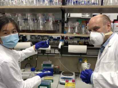 Erfolg nach jahrelanger Arbeit im Labor: Doktorandin Jingjing Xu und Prof. Dr. Henrik Mouritsen, Universit&auml;t Oldenburg