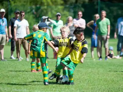 Der Jugendfu&szlig;ball beim TSV Abbehausen ist ein Beispiel f&uuml;r die wichtige Funktion, die Vereine in einer Stadt haben.