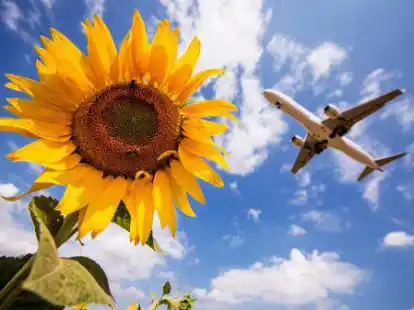 <p>        Der Klimamanager soll unter anderem die Einwohner f&uuml;r das Thema Klimaschutz sensibilisieren.        dpa             </p>