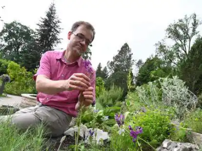 „Unsere Gärten werden sich verändern“, ist Dirk Albach, Leiter des Botanischen Gartens, überzeugt.