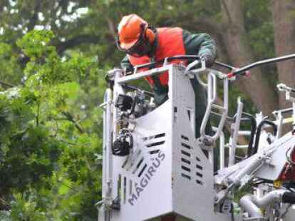 Die Drehleiter aus Ganderkesee kam zum Einsatz.
