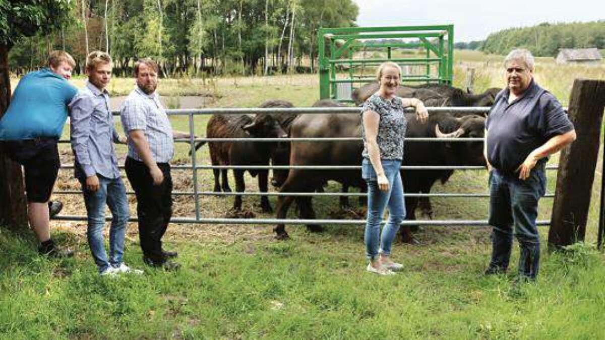 Entspannen an der Weide