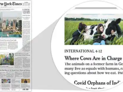 Auf ihrer Titelseite verweist die New York Times gleich neben einer Meldung &uuml;ber Britney Spears mit einem Bild und einem kleinen Text auf die auf Seite 12 folgende ganzseitige Geschichte &uuml;ber Hof Butenland.