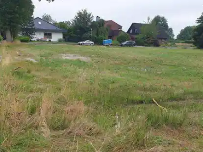 Eine Gr&uuml;nfl&auml;che als Eckgrundst&uuml;ck an der abknickenden Stettiner Stra&szlig;e: Das Areal der Firma Fepa soll bebaut werden, doch wie?