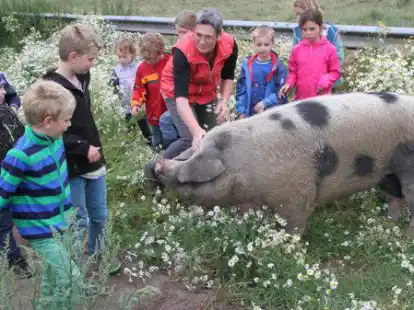 Tierisch tolle Angebote gibt es auch 2021 wieder beim Ganderkeseer Ferienpass. Wer mitmachen will, muss schnell sein.