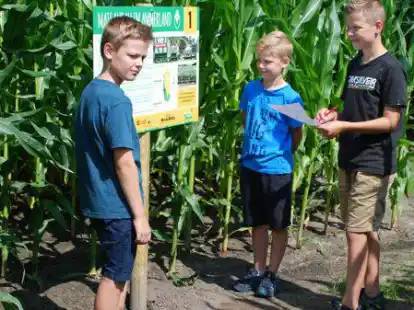 Vom Entdeckergeist im Labyrinth getrieben: (v.li.) Hinnerk, Tebbe und Jasper Bernholt versuchen, die Quiz-Fragen zu l&ouml;sen, sich Wissen &uuml;ber die Landwirtschaft anzulesen und gleichzeitig versteckte QR-Codes aufzusp&uuml;ren.
