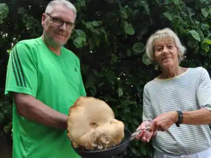 Am Schulzentrum in Ganderkesee haben Rainer Heinken und Ursula Nolte einen ungew&ouml;hnlich gro&szlig;en Steinpilz gefunden.